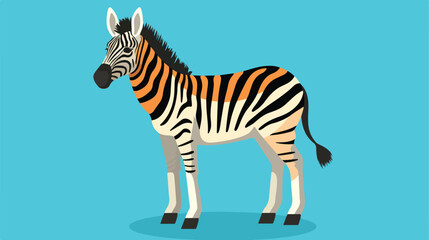 cute Zebra tiny small wild animal Isolated on color