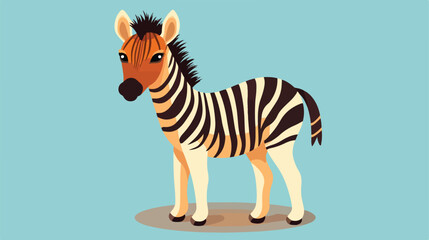 cute Zebra tiny small wild animal Isolated on color