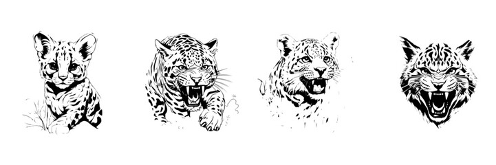 Black and white sketch of leopard 
