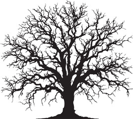  dead tree  silhouette black color . white color background 
