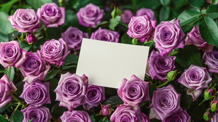 A card sits amidst purple roses in a naturethemed photograph