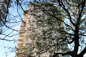 Buildings and structures in Tel Aviv against the background of branches and leaves of tall trees.