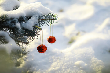 Red Christmas bell hangs on a snow-covered branch of a Christmas tree against a festive background...