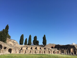 ruins of the ancient roman forum