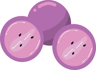 Vector illustration of grapes design icon