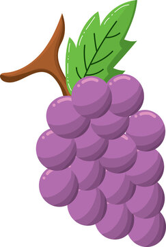 recommend clip art: Bunch of purple grapes