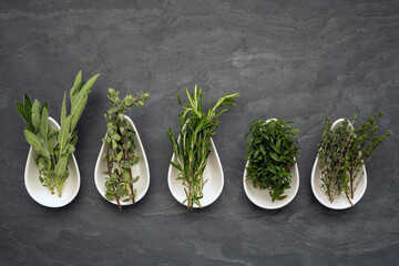 Five different fresh herbs in small white porcelain bowls on a black slate plate