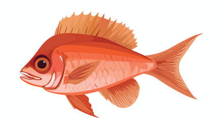 Fish design over white backgroundddvector illustration