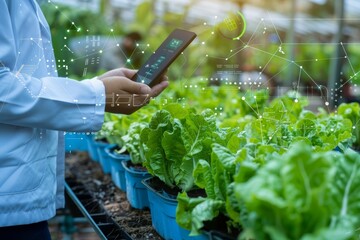 Scientist using a smartphone to analyze data in a smart agricultural greenhouse with lettuce plants. Created with Generative AI - obrazy, fototapety, plakaty