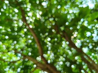 green leaves bokeh background