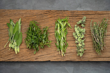 Five different fresh organic herbs on a rustic old wooden plank on a black slate plate