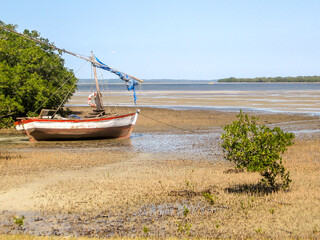 A single traditional dhow, moored on the edge of a Mangrove Swamp at low tide in the sheltered bay...