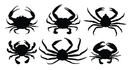 The set silhouettes of sea crabs.
