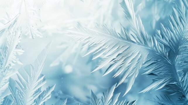 A beautiful close-up photograph of frost on a window. The delicate ice crystals are formed in a variety of shapes and sizes, creating a stunning and unique work of art.