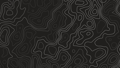 abstract pattern with lines. background of the topographic map. elevation contouring outline cartography texture. geographic abstract grid. futuristic wireframe lands. black and white seamless pattern