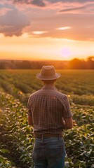 Farmer looking over a thriving field, successful harvest season, sunset over lush crops
