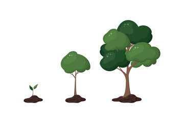 Stages of green tree growth. Small and big. Garden. Spring. Blooming. Foliage. Colorful cartoon illustration. White background. Vector texture. Flat art. Nature.