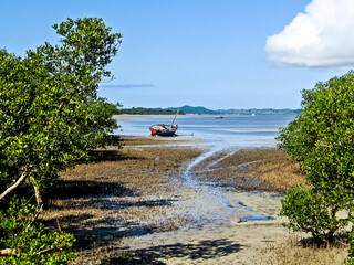 A fishing dhow moored on the edge of a calm, sheltered, bay in the Inhaca Barrier Island system,...