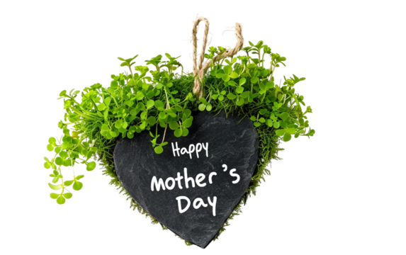 Heart Shaped Plant with Mother's Day Greeting Isolated on Transparent Background PNG.