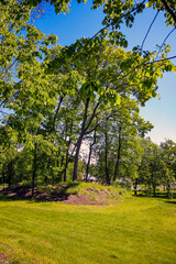 Monrepos Park, recreation in the park, promenade by the lake, natural landscape, tourist recreation in the reserve.