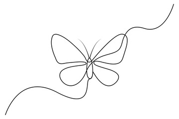 Butterfly continuous one line drawing of  Isolated outline vector art white background 