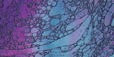 Fluid Finesse: Unveiling the Intricate Allure of Liquid Art in Oil Paintings
