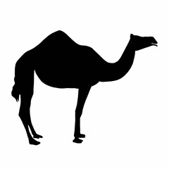 Black Camel Drawing | Camel Clip Art | Camel Illustration