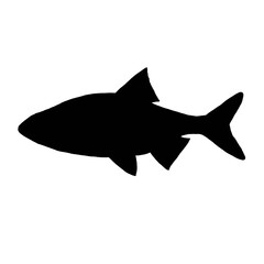 Black Sea Fish Illustration | Fish Drawing | Fish Clip Art