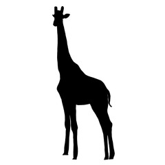 Black Giraffe | Giraffe Illustration | Giraffe Clip Art