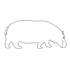 Hippo Outline | Hippo Illustration | Hippo Drawing