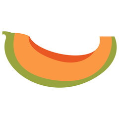 Melon Fruit Illustration