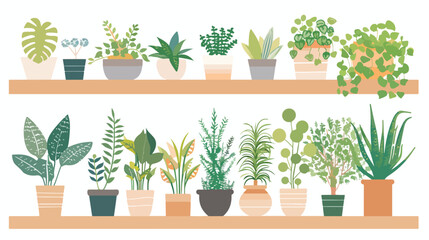 Shelf with houseplants scene Vector illustration. vector