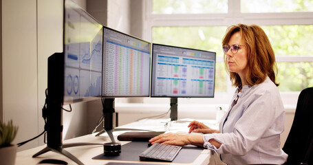 Computer Spreadsheet Data Analyst Woman