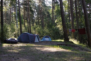 Camping picnic blue tent campground in outdoor hiking forest. Camper while campsite in nature background at summer trip camp. Adventure Travel
