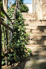 Stairs in sunny day with shadows