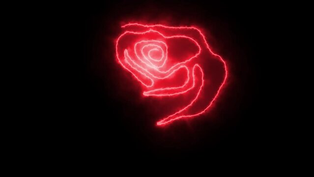 Self drawing animation with one continuous line draw, logo, burning red rose