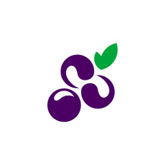 blueberries fruit logo design vector