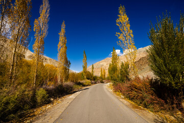 A serene asphalt road winds through a colorful autumn landscape in the Himalayas, flanked by tall...