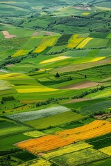Obraz premium Aerial view of patchwork fields in spring diverse crops in shades of green and yellow