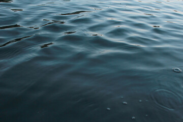 Mar Oceano Río Agua  © Cicialli