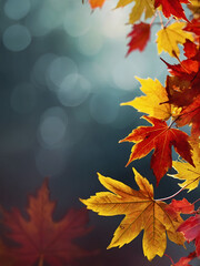 Fall Into Celebration, Create an Eye-Catching Web Banner for Autumn and Year-End Activities, adorned with Red and Yellow Maple Leaves and a Soft Focus Light that Evokes Warmth and Festivity.