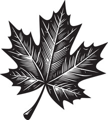 black and white leaf