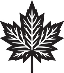 black and white leaf