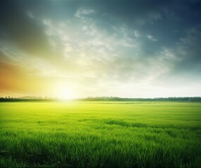 Fototapeta premium Serene Sunrise Over Lush Green Field with Vivid Sky and Horizon