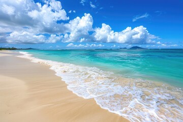 Balanced Beauty of Beach: White Sand Shoreline with Naupaka, Horizon Sky and Ocean