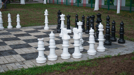 large chess pieces on a chessboard in nature.
