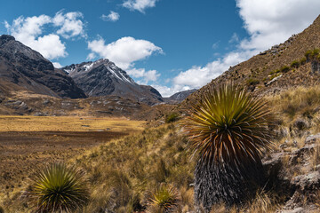 landscape with in the snow covered andes in the national park Huascarán