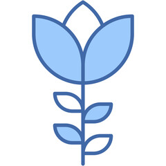 Blossom, flower, love, red rose, present Icon