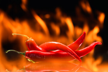 red chili peppers, on a background of burning fire, flames on a black background, hot and spicy...