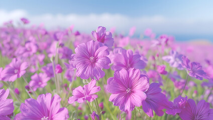 Fototapeta premium Endless field of purple flowers stretching under clear blue sky. Clean air, filled with the scent of flowers, gives a feeling of freedom and unity with nature
